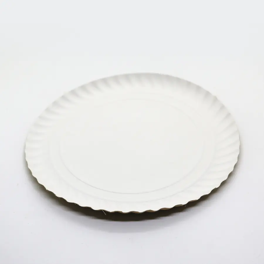 PLATO CARTULINA Nº 18 x 100 UNIDADES