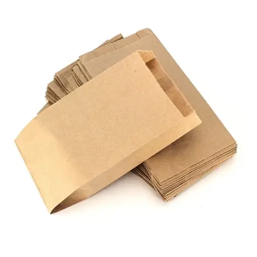 [10202] BOLSA PAPEL KRAFT FP N.2  X 100 Unidades