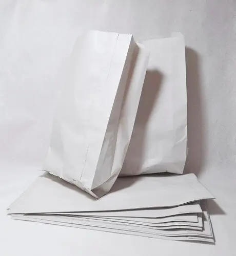 [10104] BOLSA PAPEL SULFITO FP N.3 X 100 unidades