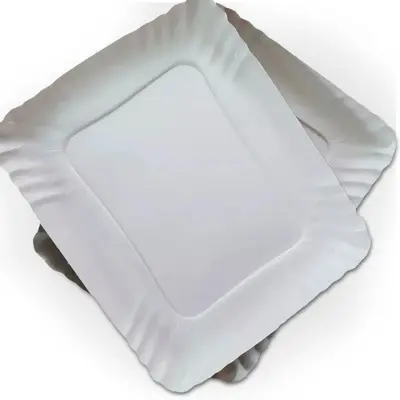 [11002] BANDEJA DE CARTON N.2 X 100 UNIDADES